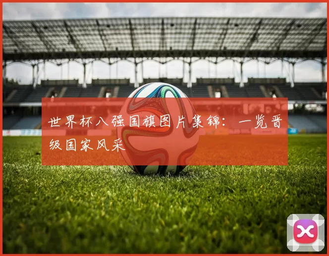 世界杯八强国旗图片集锦：一览晋级国家风采