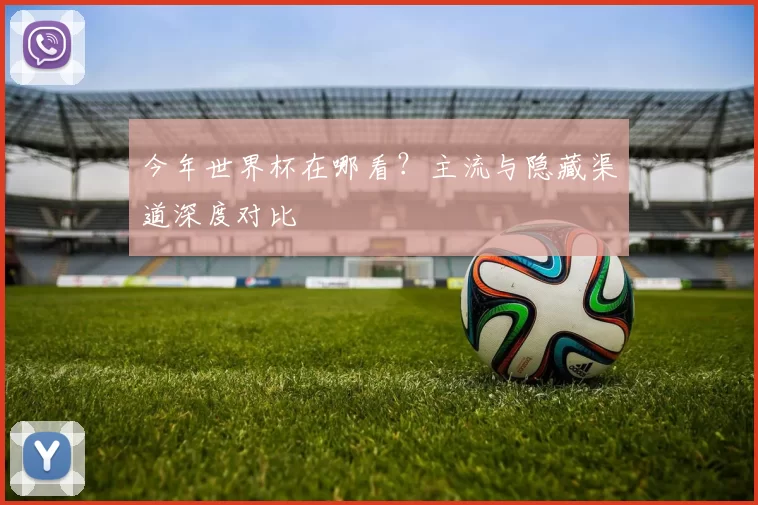 今年世界杯在哪看?主流与隐藏渠道深度对比