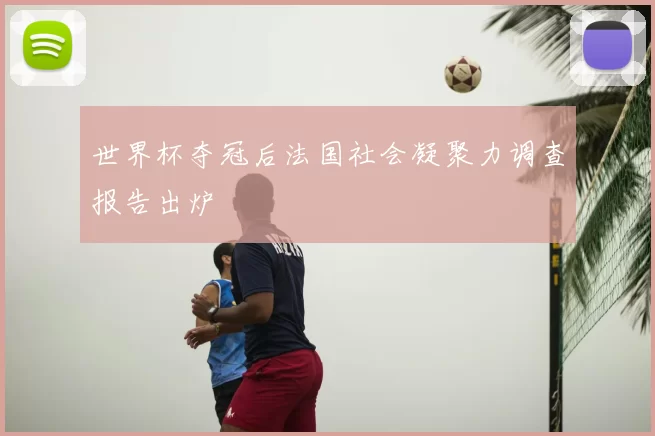 世界杯夺冠后法国社会凝聚力调查报告出炉