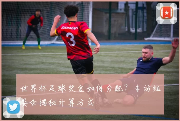 世界杯足球奖金如何分配？专访组委会揭秘计算方式