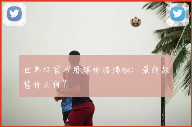 世界杯官方用球价格揭秘：最新款售价几何？