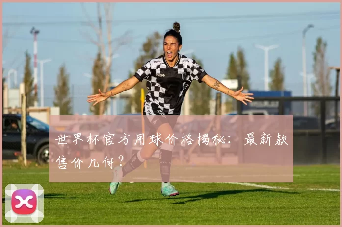 世界杯官方用球价格揭秘：最新款售价几何？