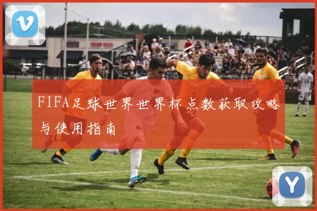 FIFA足球世界世界杯点数获取攻略与使用指南