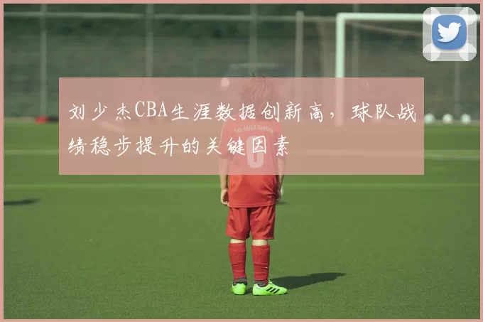 刘少杰CBA生涯数据创新高，球队战绩稳步提升的关键因素