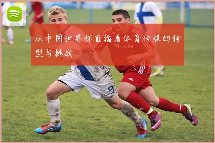 从中国世界杯直播看体育传媒的转型与挑战