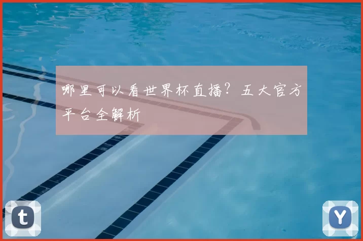 哪里可以看世界杯直播？五大官方平台全解析