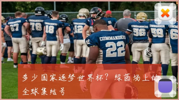 多少国家逐梦世界杯？绿茵场上的全球集结号