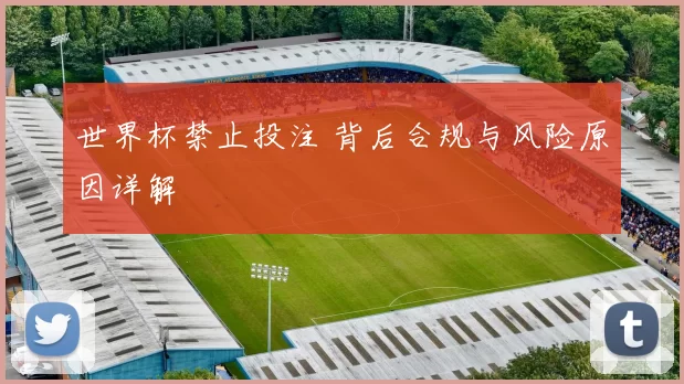 世界杯禁止投注 背后合规与风险原因详解