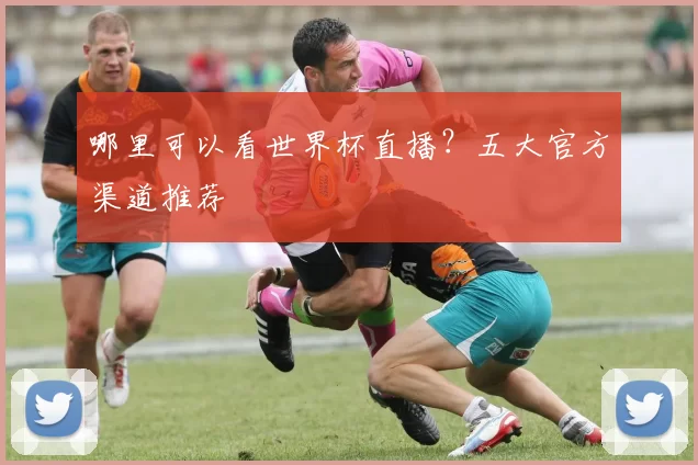 哪里可以看世界杯直播?五大官方渠道推荐