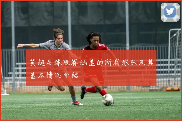 英超足球联赛涵盖的所有球队及其基本情况介绍