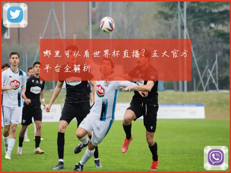 哪里可以看世界杯直播？五大官方平台全解析