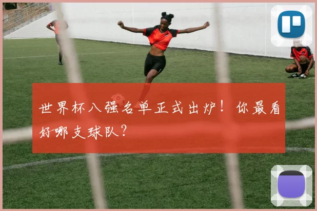 世界杯八强名单正式出炉！你最看好哪支球队？