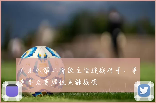 广东队第二阶段主场迎战对手，争夺季后赛席位关键战役