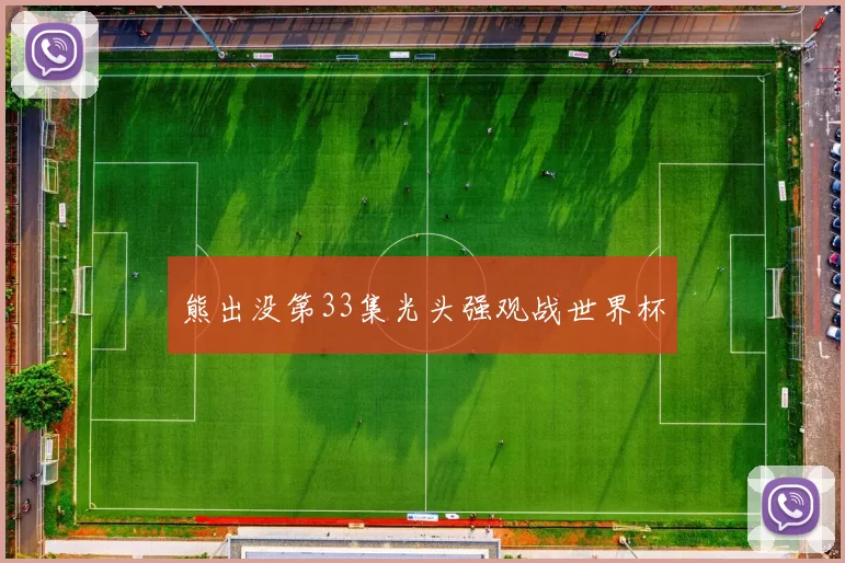 熊出没第33集光头强观战世界杯