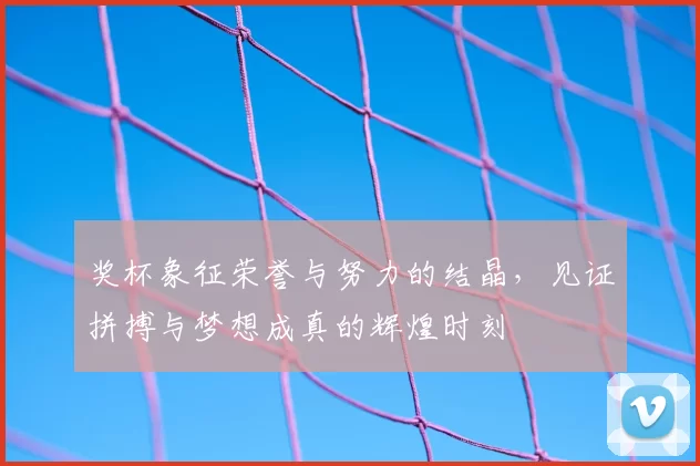 奖杯象征荣誉与努力的结晶，见证拼搏与梦想成真的辉煌时刻