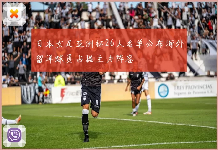 日本女足亚洲杯26人名单公布海外留洋球员占据主力阵容